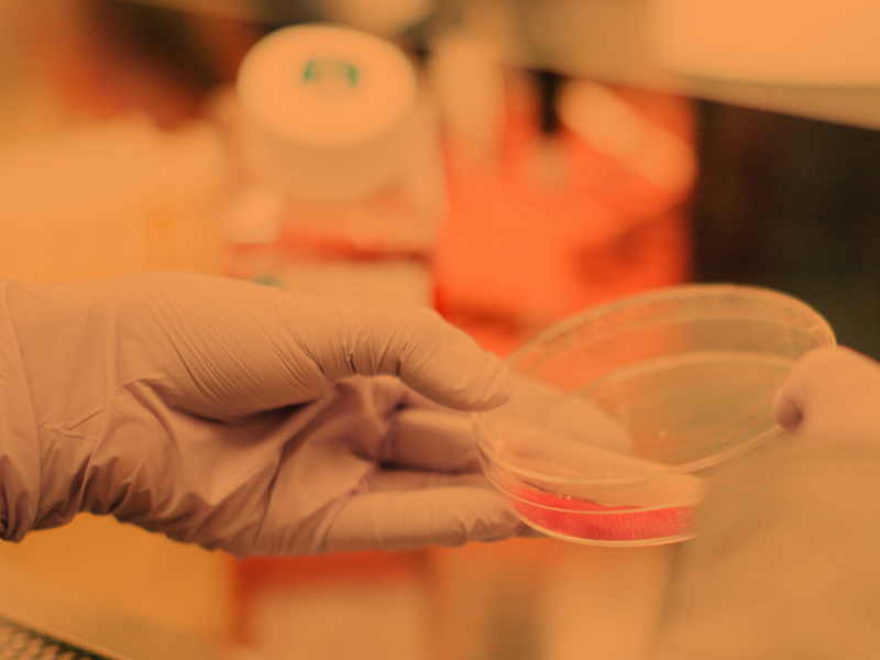 ARSIA Project | A multidisciplinary observational data platform
